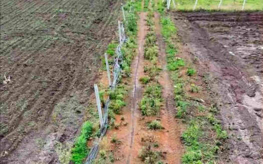 2 Acres Land