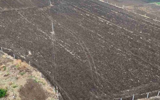 3 Acres Land