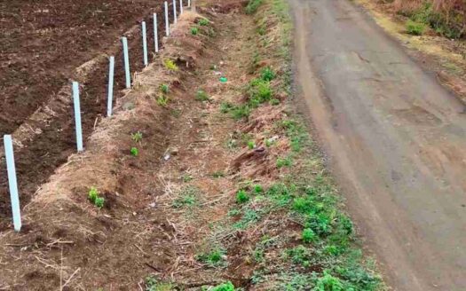 3 Acres Land