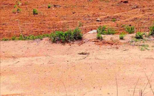 3.15 Acres Land