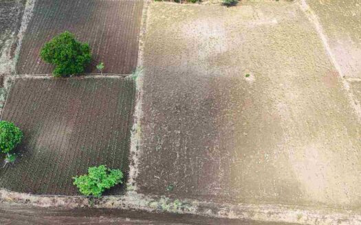 4 Acres Land