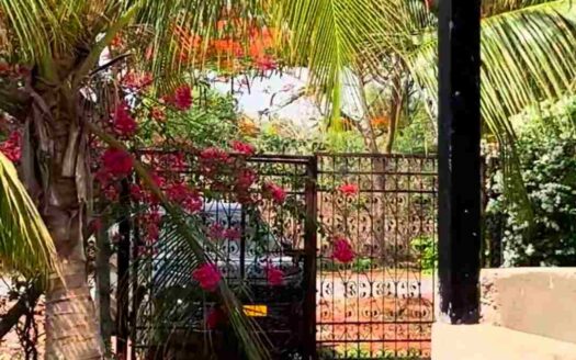 4.30 Acres Mango Farm for Sale