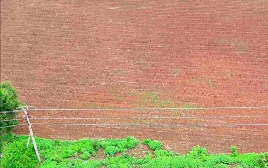 6 Acres Commercial Land