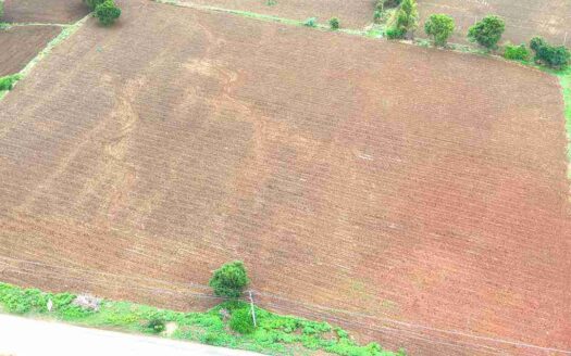 6 Acres Commercial Land