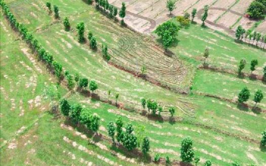 6 Acres Land