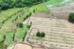 slider-thumb