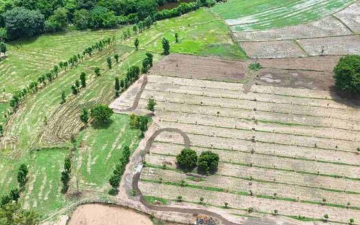 6 Acres Land