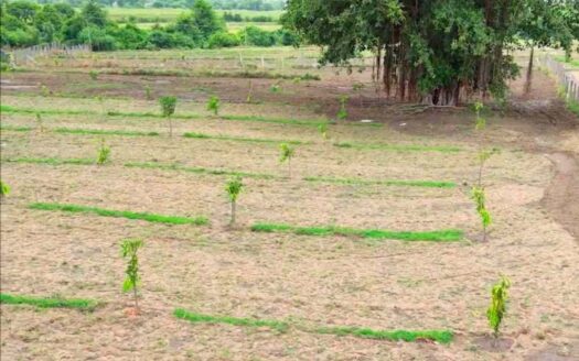 6 Acres Land