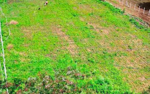1 Acre Land
