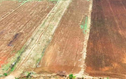 1.20 Acres Land