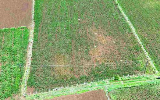 1.28 Acres Land