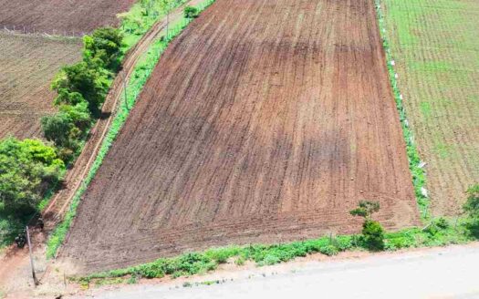 1.33 Acres Land
