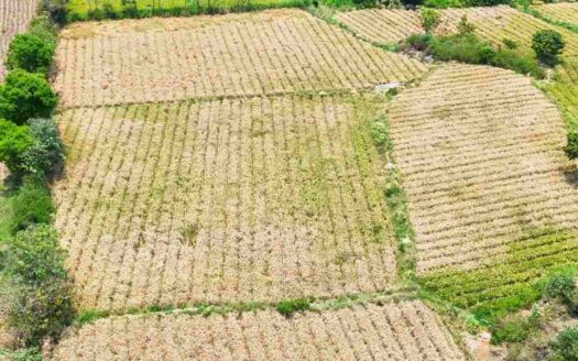 2 Acres Land