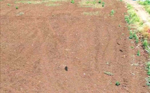 2 Acres Land