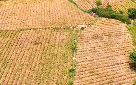 2 Acres Land