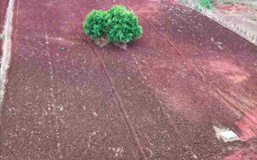 2.18 Acres Agriculture Land