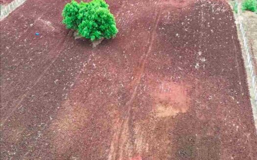 2.18 Acres Agriculture Land