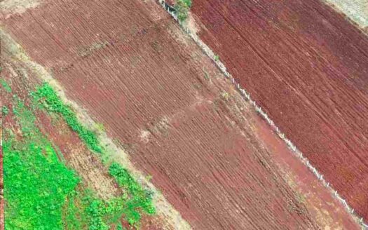 3 Acres Land