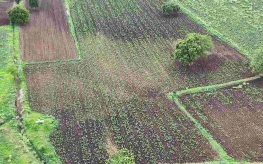 6 Acres Land