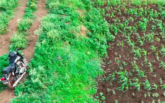 6 Acres Land
