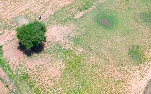 7 Acres Land