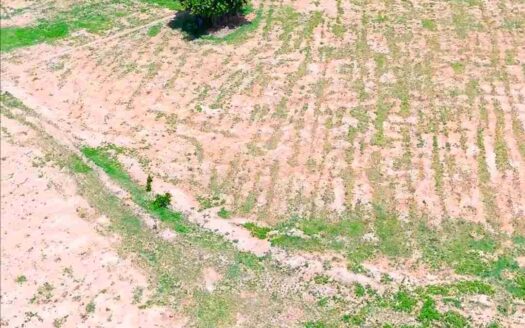 7 Acres Land