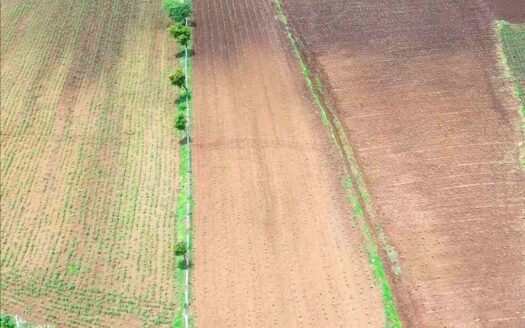 8 Acres Land