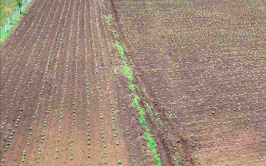 8 Acres Land