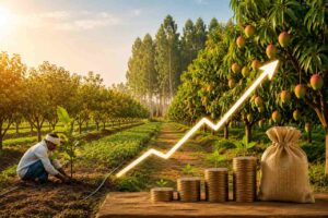 Perennials are one of the good option to generate passive income from agricultural land