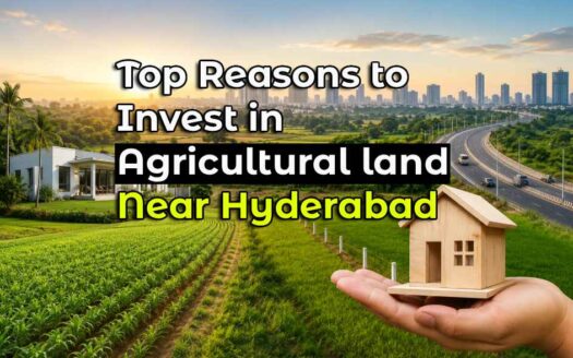 Top Reasons to Invest in Agricultural land Near Hyderabad