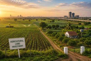 agriculture land investment