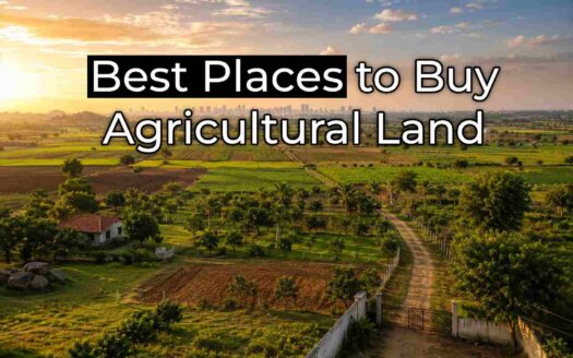 Best places to buy agricultural land