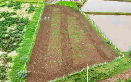 20 Guntas Land