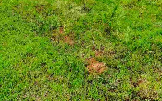 2 Acres 10 Guntas Land for Sale Near Parigi