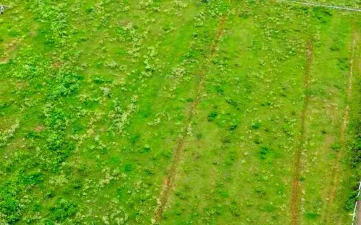 2 Acres 10 Guntas Land for Sale Near Parigi