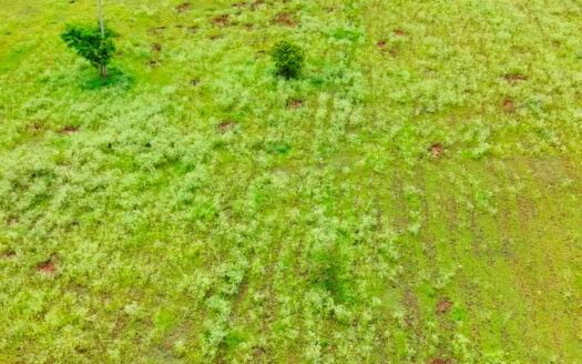 5 Acres Agricultural Land in Parigi