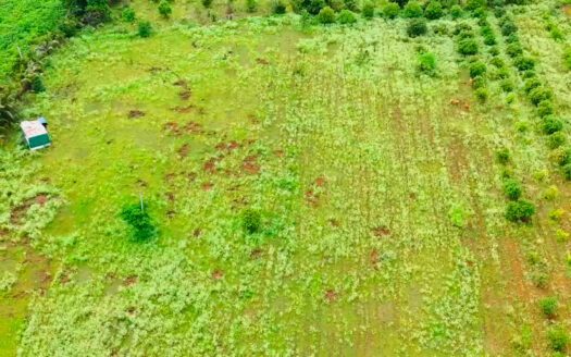 5 Acres Agricultural Land in Parigi