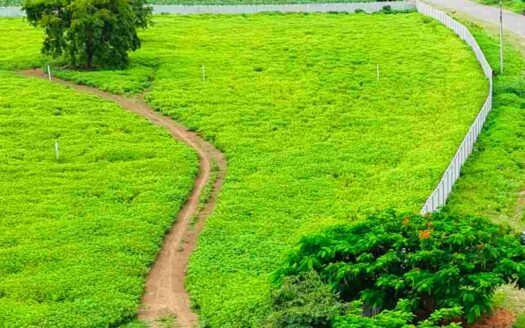 7 Acres Premium Land for Sale in Parigi