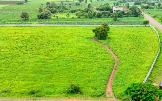 7 Acres Premium Land for Sale in Parigi