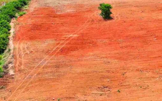 8 Acres Agricultural Land