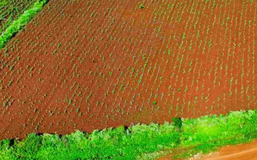 1 Acre Premium Land for Sale Near Parigi