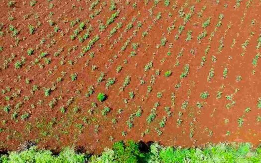 1 Acre Premium Land for Sale Near Parigi