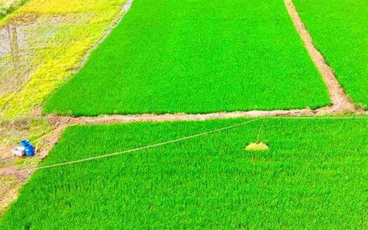 1 Acre Land for Sale Near Parigi