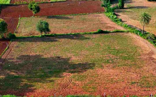 1 Acre Land for Sale Near Parigi