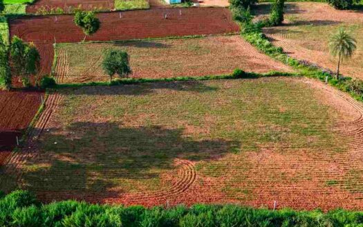1 Acre Land for Sale Near Parigi