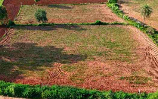1 Acre Land for Sale Near Parigi
