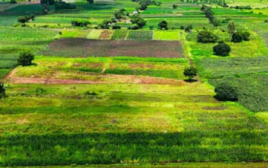 10 Acres Land for Sale Near Parigi