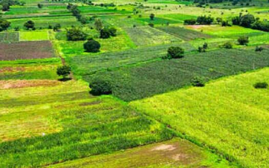 10 Acres Land for Sale Near Parigi
