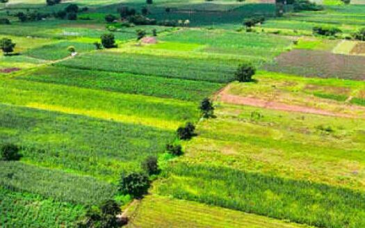 10 Acres Land for Sale Near Parigi