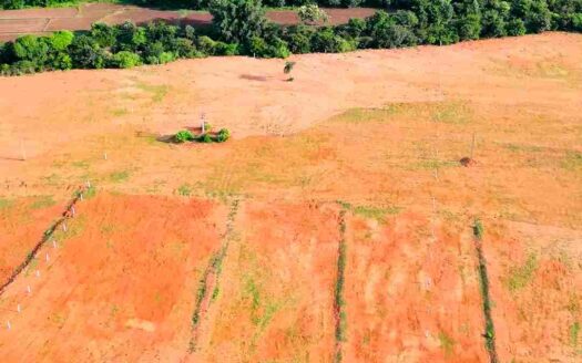 3 Acres Agricultural Land for Sale Near Parigi